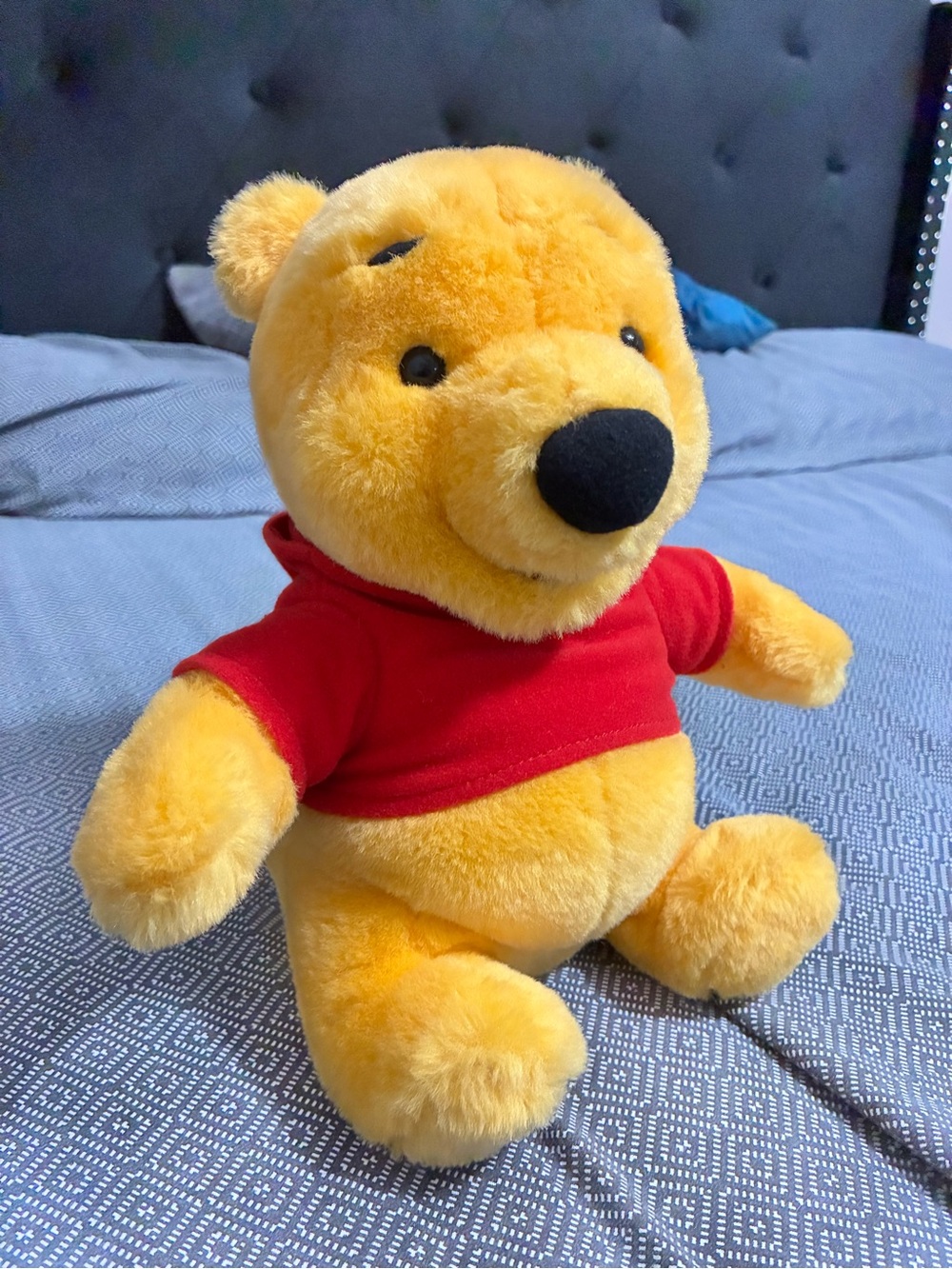 Vintage 1999 Winnie the Pooh Battery Bear